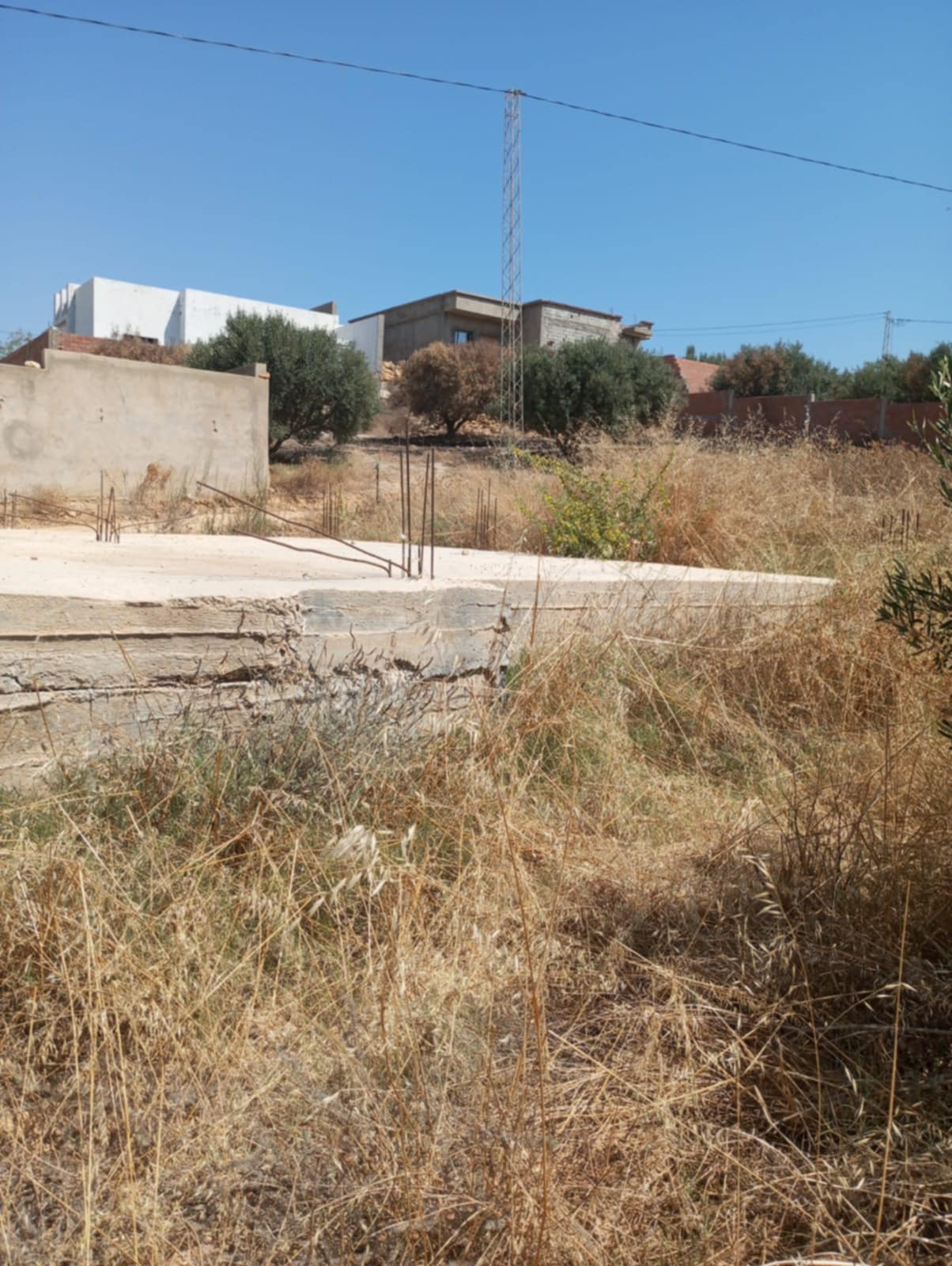Hammamet Hammamet Terrain Terrain nu Av 200m avec fondation  hammamet sud