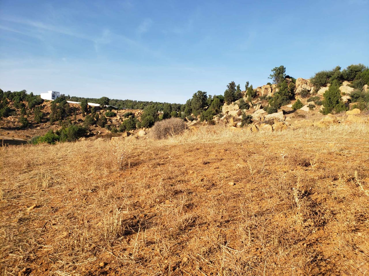 Hammamet Hammamet Terrain Terrain nu Av terrain 1300m avec vue dgag proche hammamet