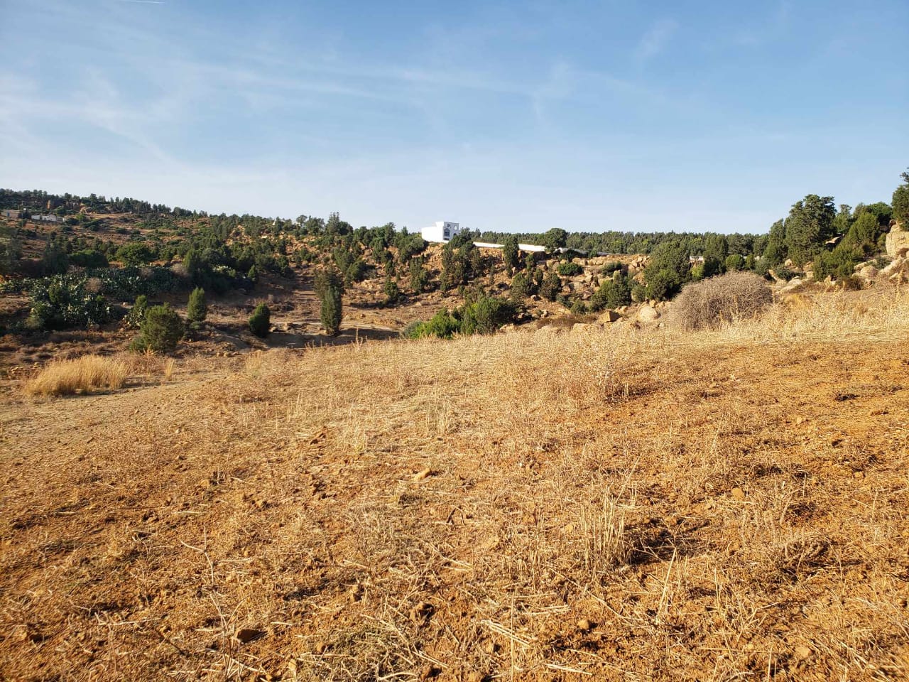 Hammamet Hammamet Terrain Terrain nu Av terrain 1300m avec vue dgag proche hammamet