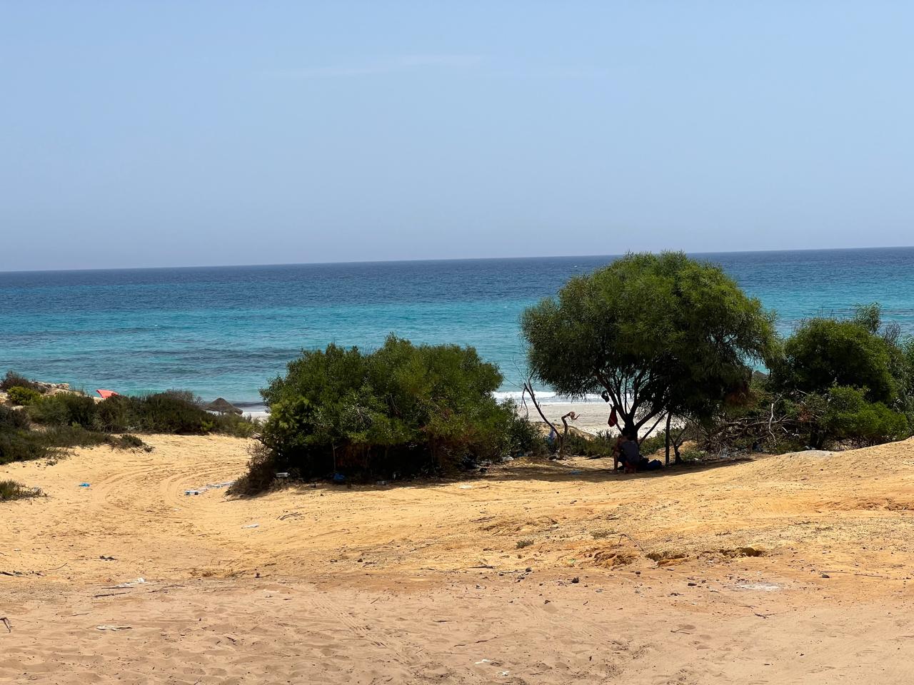 Hammam El Ghezaz Ezzahra Terrain Terrain nu Un terraiin de 1000 metre caree