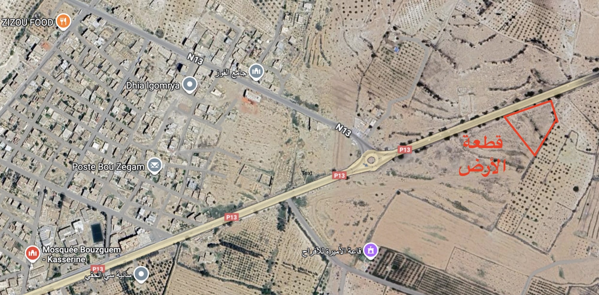 Kasserine Sud Bou Zguem Terrain Terrain nu Terrain  bouzguem kasserine