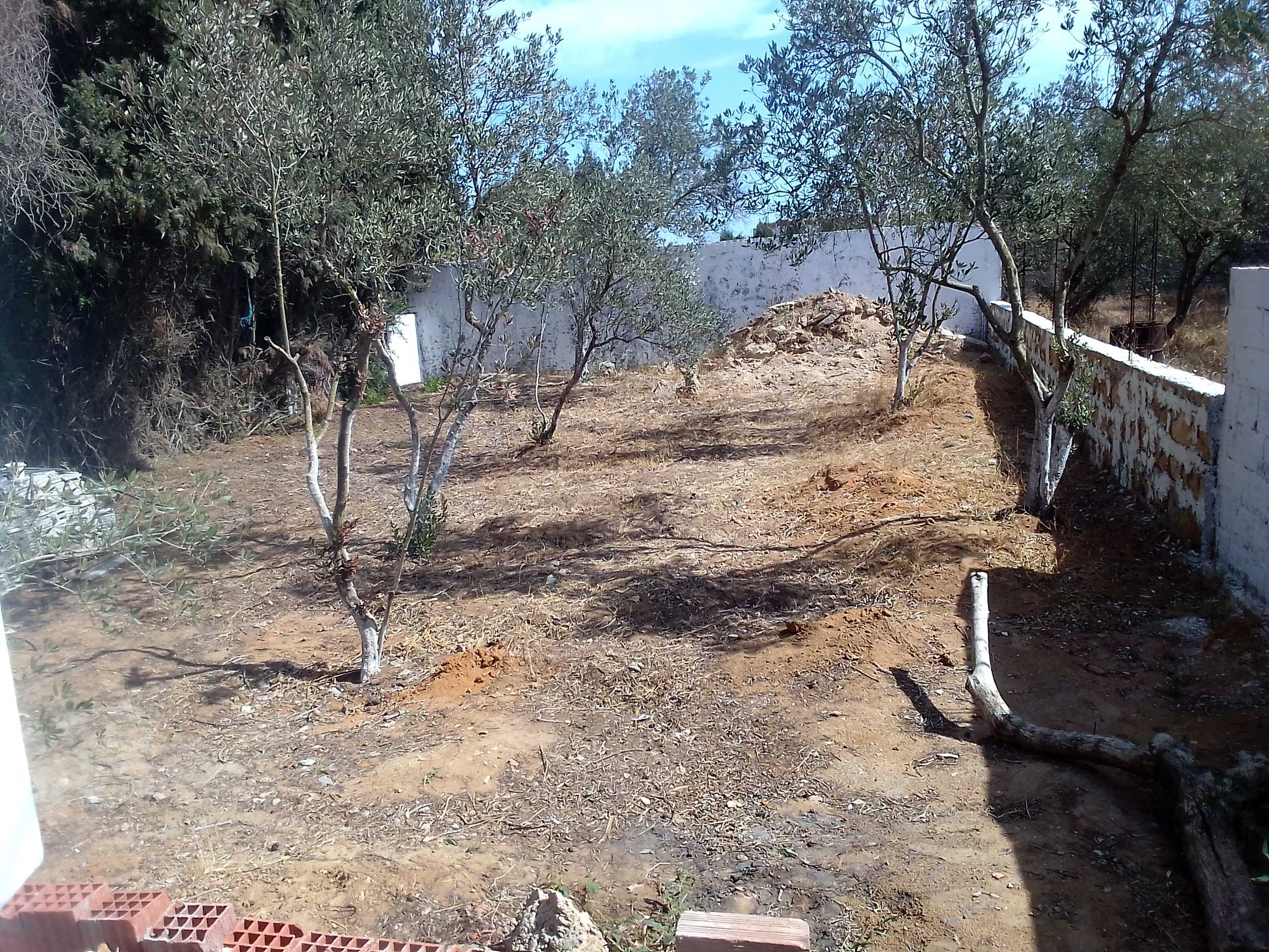 Ras Jebel Cite Kaa El Ballout Vente Maisons Maison s 2  terrain 310 m 2  700 de rue