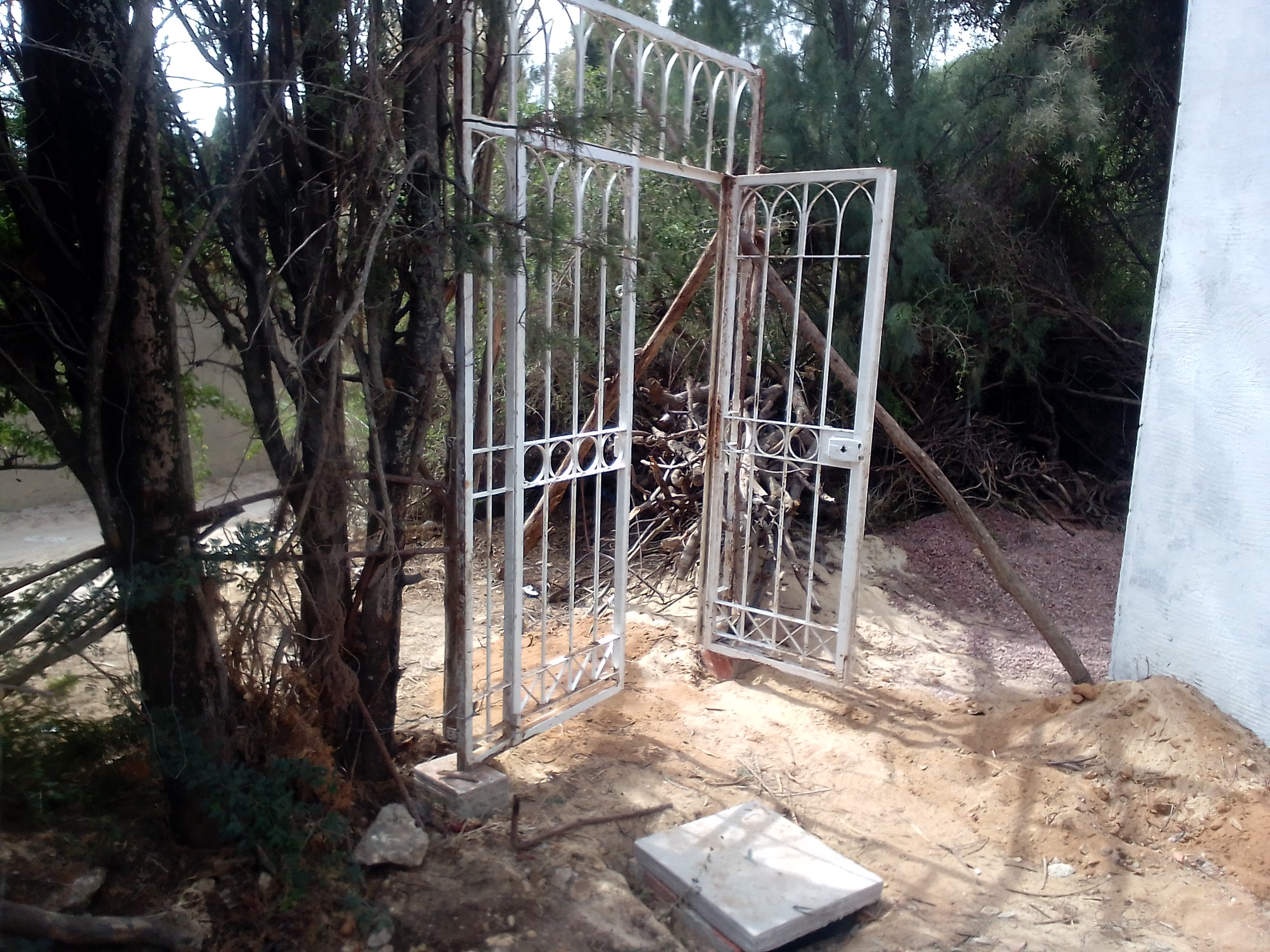 Ras Jebel Cite Kaa El Ballout Vente Maisons Maison s 2  terrain 310 m 2  700 de rue