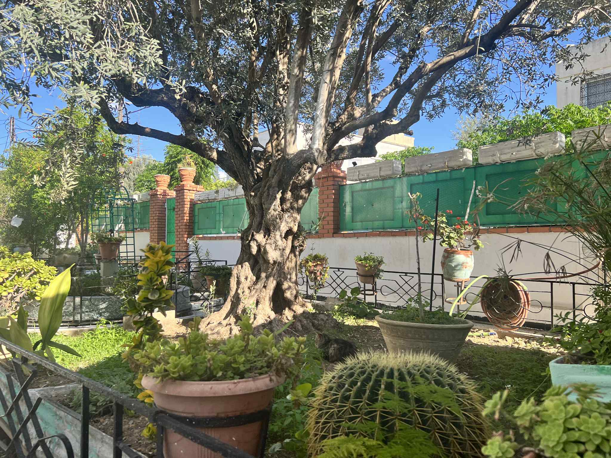 Megrine Sidi Rezig Vente Maisons Une maison s3