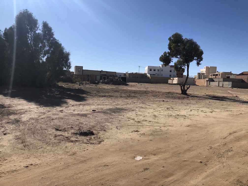Kasserine Sud Bou Zguem Terrain Terrain nu Lotissement approuve
