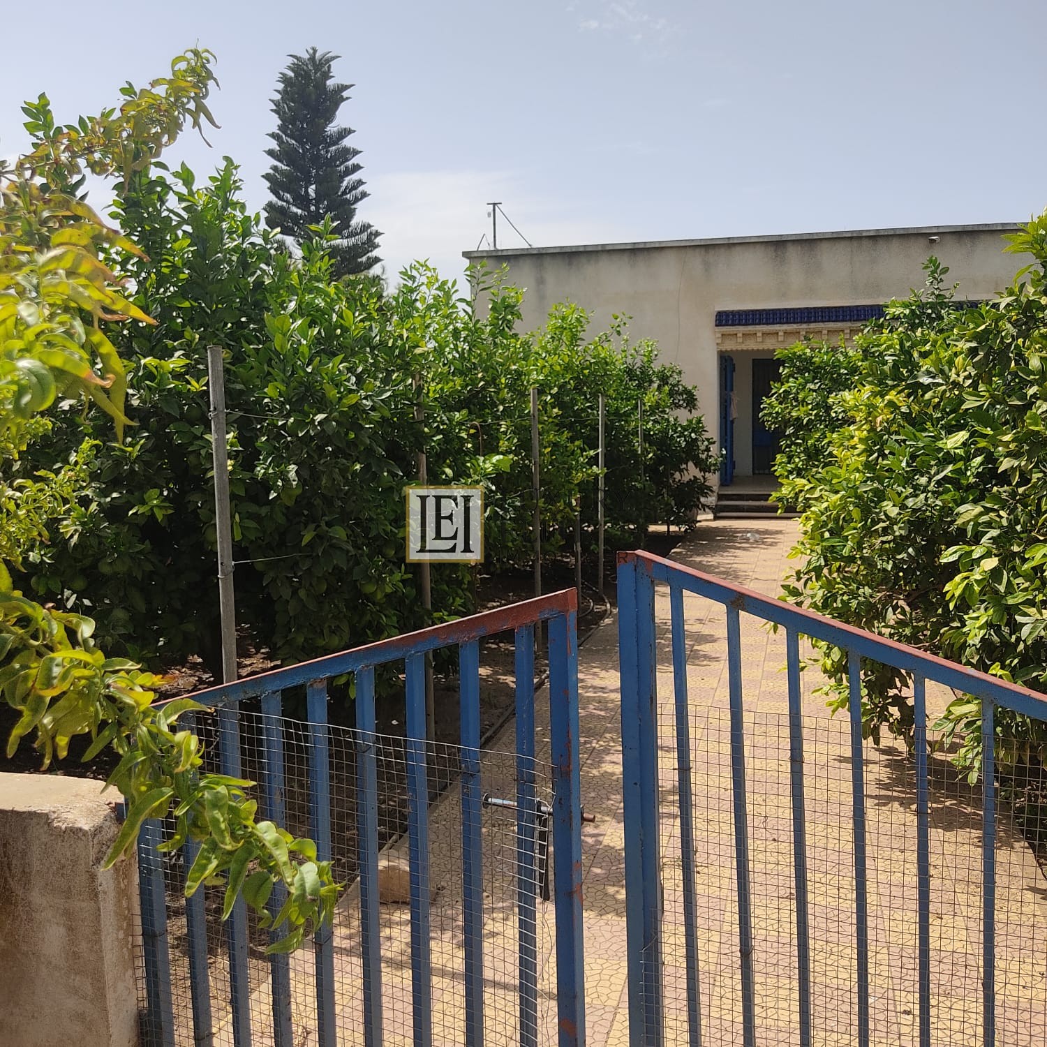 Takelsa Sidi Issa Terrain Terrain agricole Une superbe ferme 15 hectares