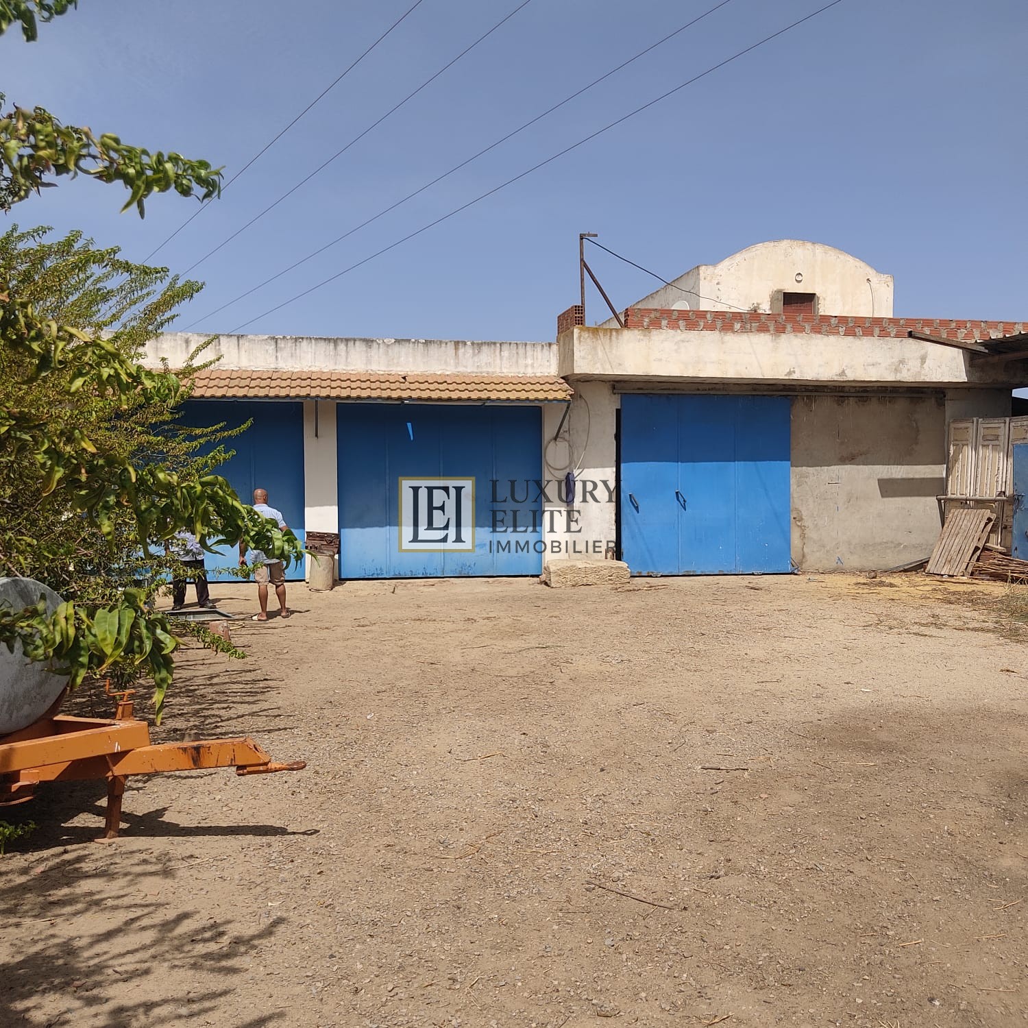 Takelsa Sidi Issa Terrain Terrain agricole Une superbe ferme 15 hectares