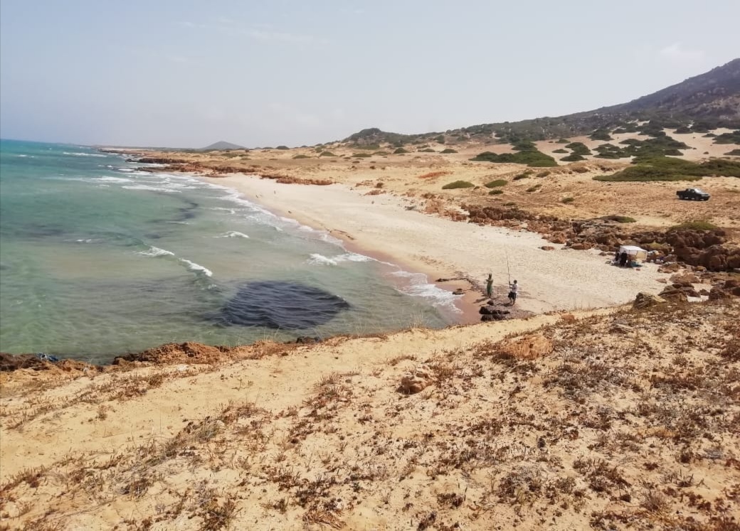 Bizerte Nord Bizerte Terrain Terrain nu Trrain n16 superficie 978 m2  110 m de la mer
