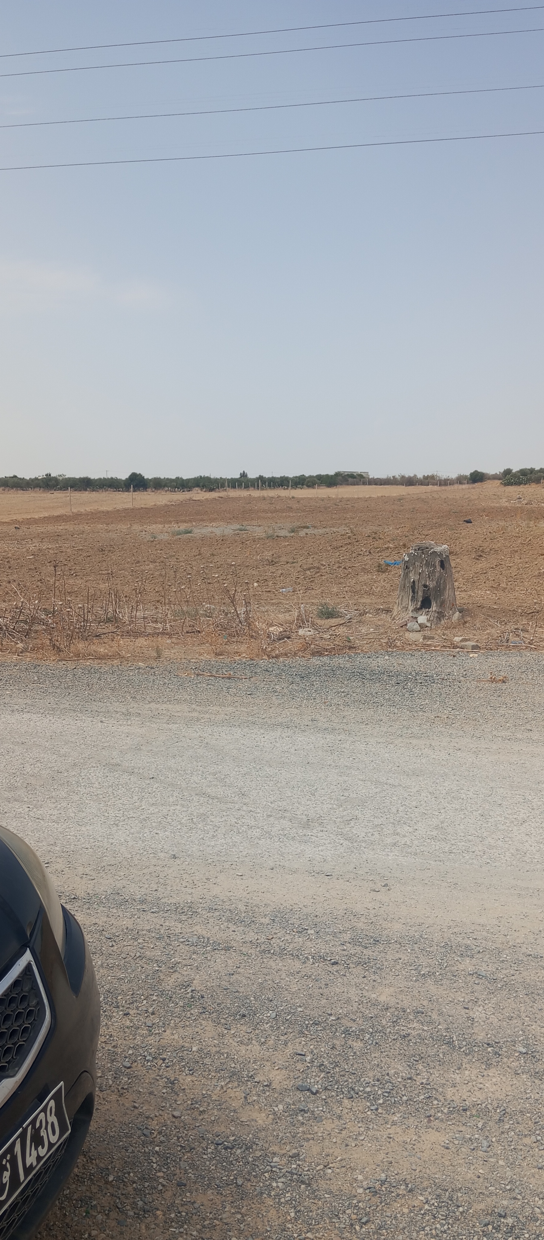 Mejez El Bab Mejez El Bab Terrain Terrain agricole Terre fertile