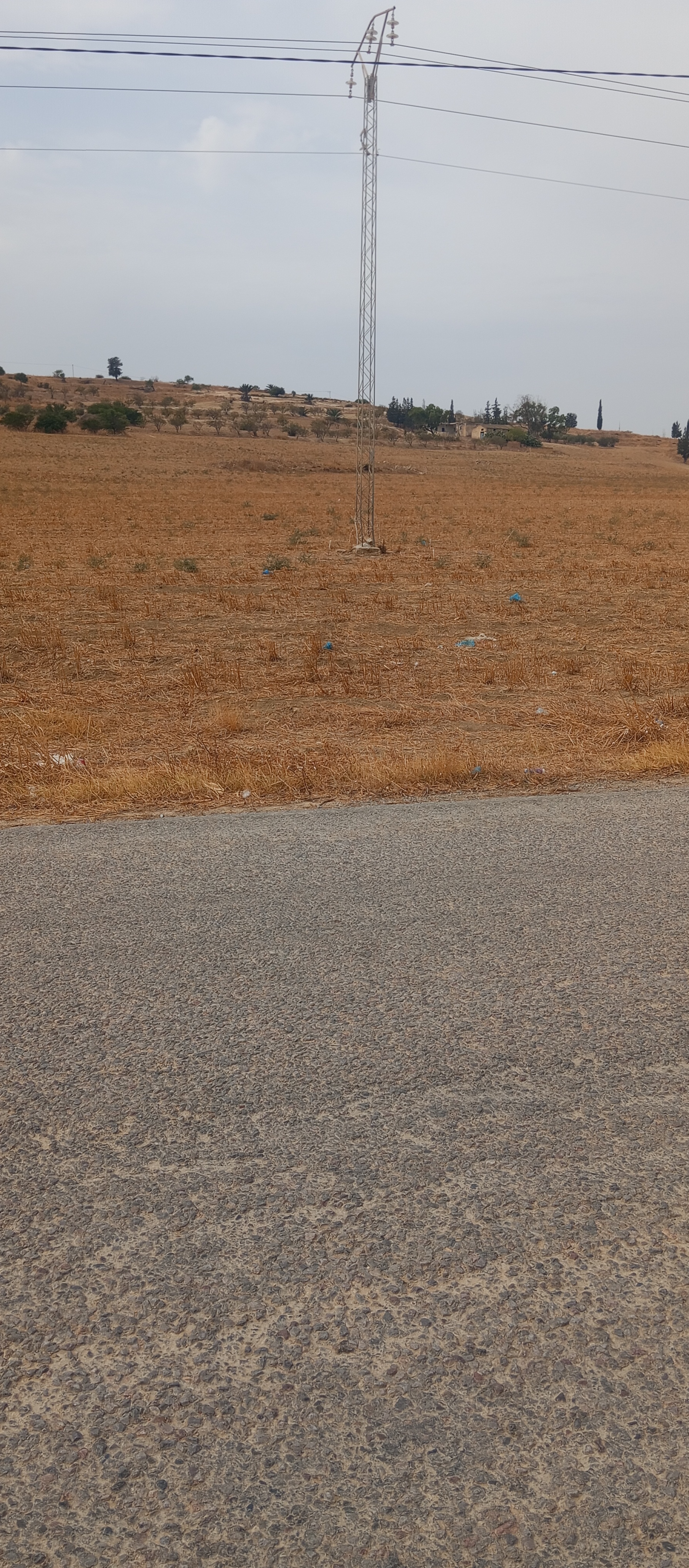 Mejez El Bab Mejez El Bab Terrain Terrain agricole Terre fertile