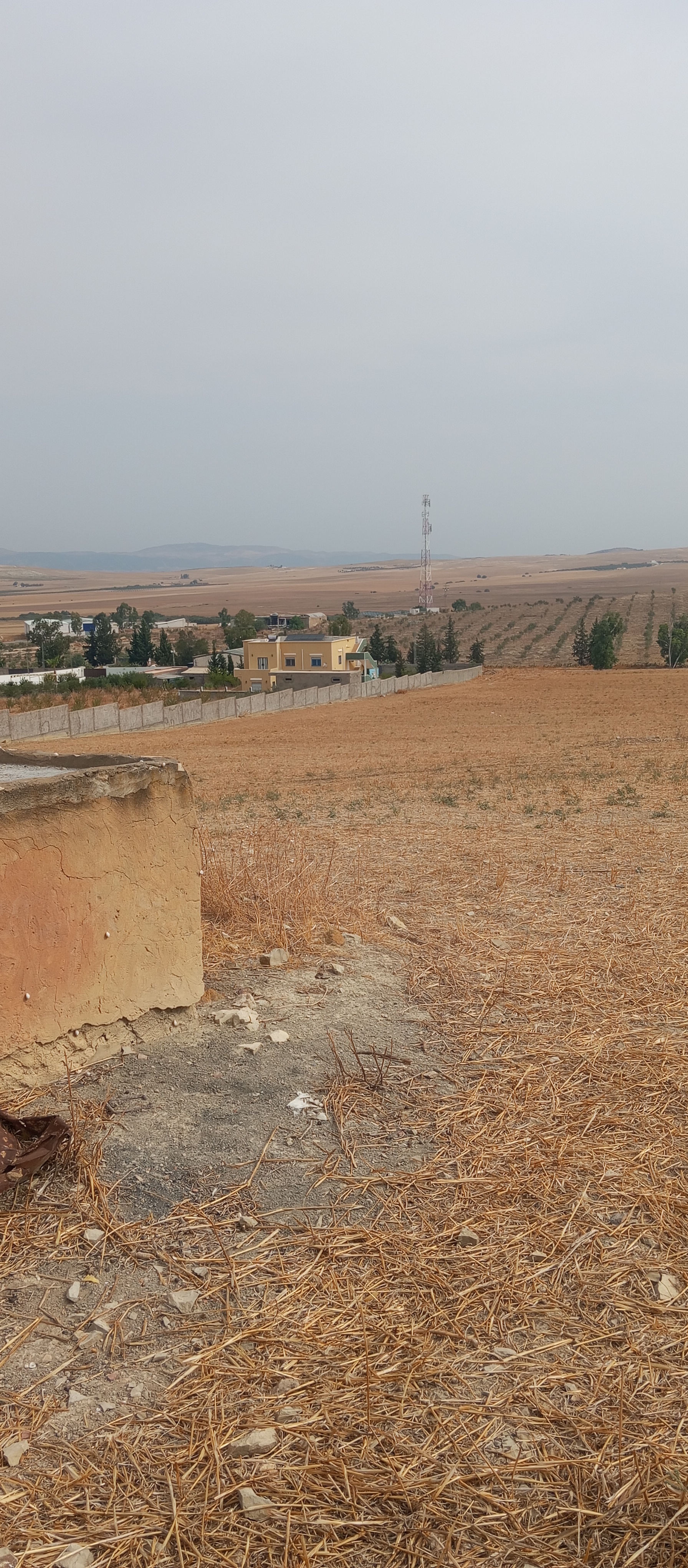 Mejez El Bab Sidi Mediene Terrain Terrain agricole Terrain au bord de route