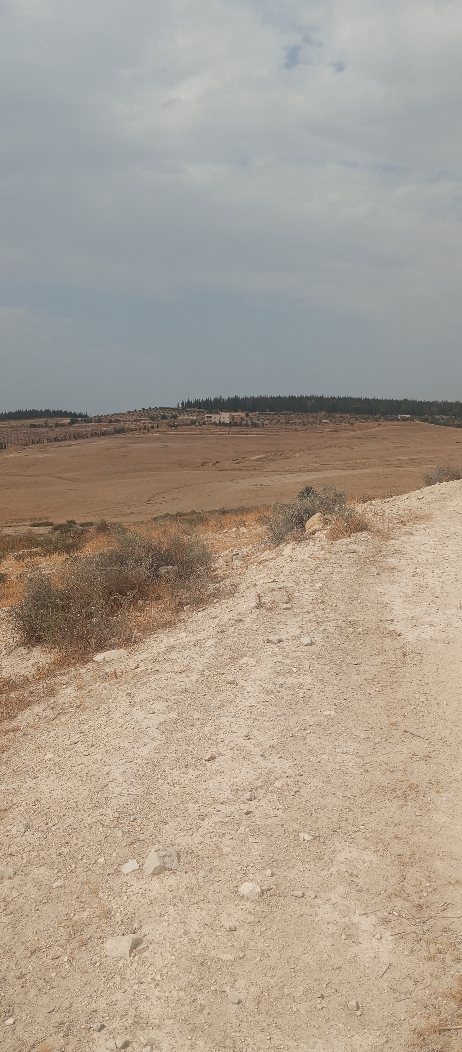 Mejez El Bab Mejez El Bab Terrain Terrain agricole Terrain mejez el bab
