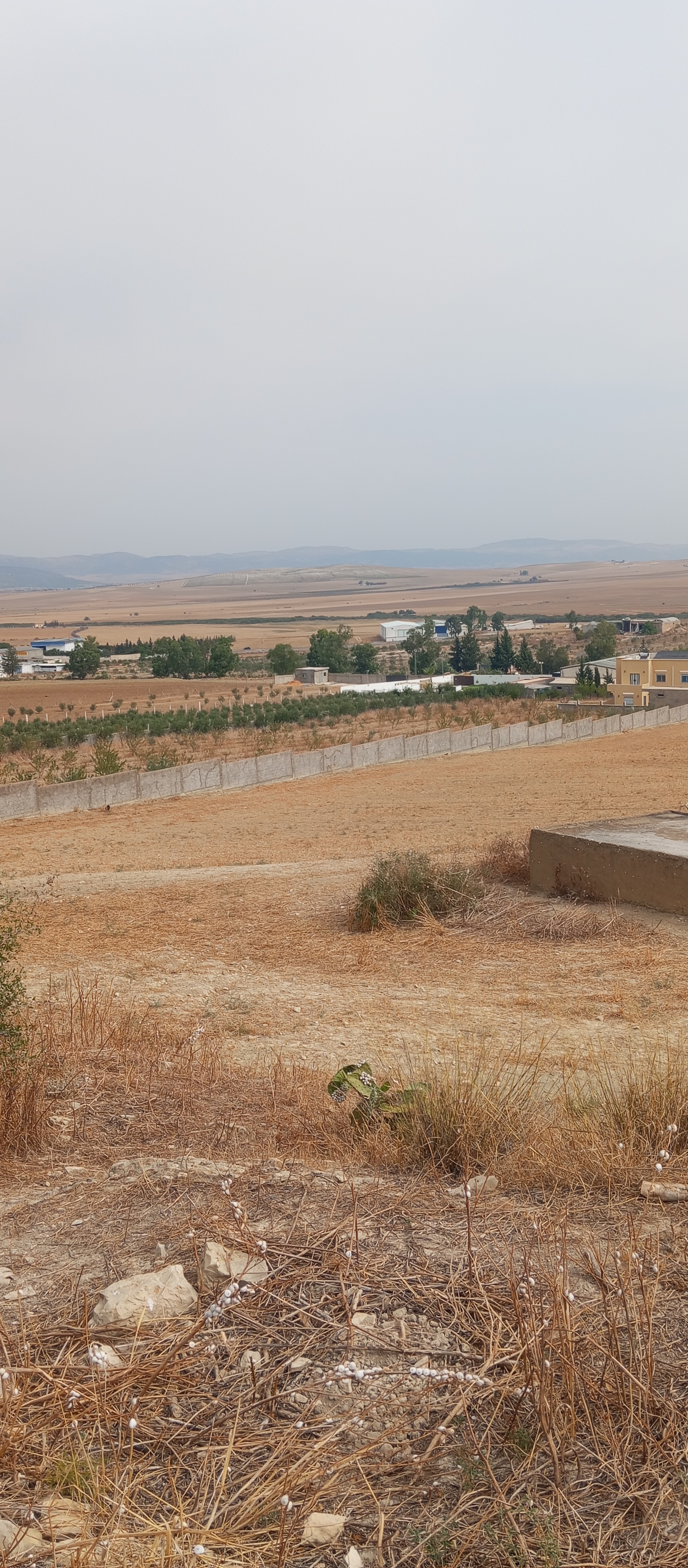 Mejez El Bab Mejez El Bab Terrain Terrain agricole Terrain mejez el bab
