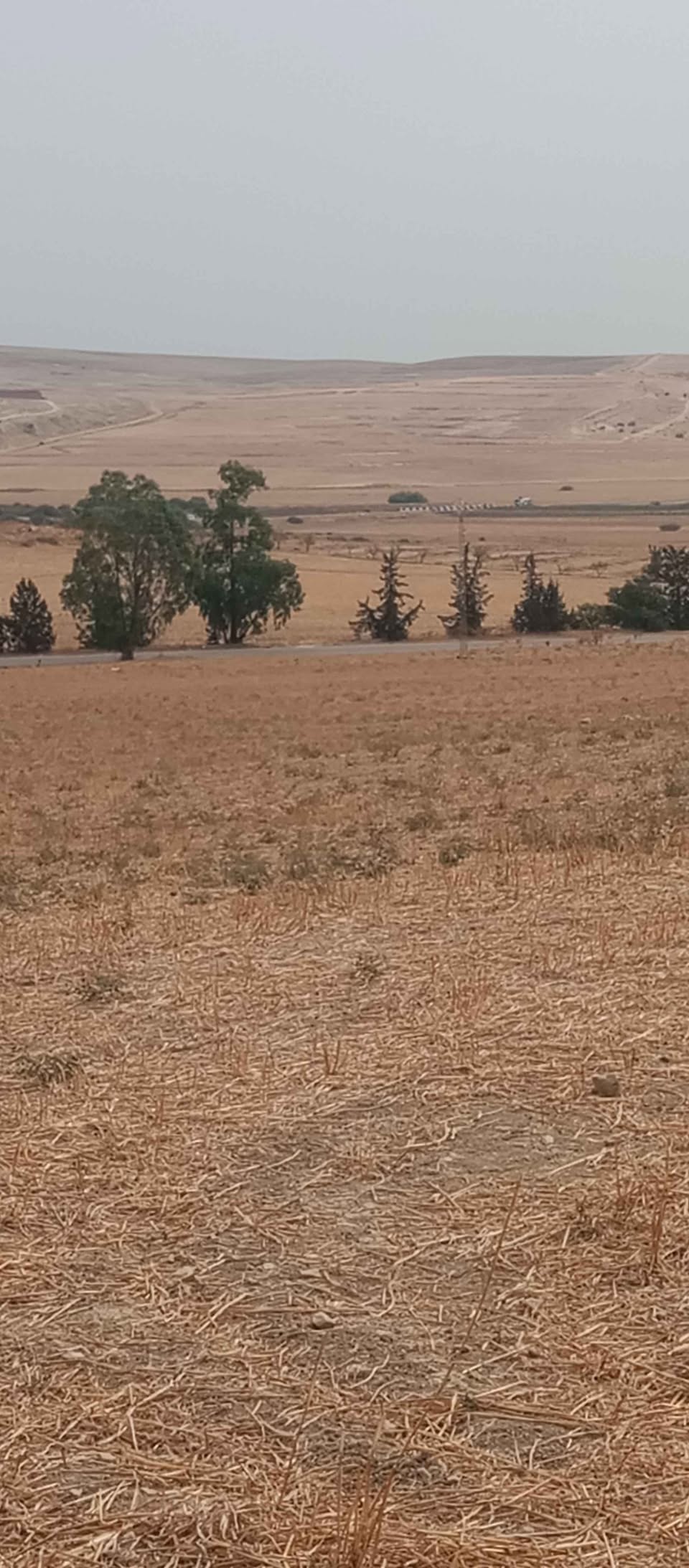 Mejez El Bab Mejez El Bab Terrain Terrain agricole Terrains agricole