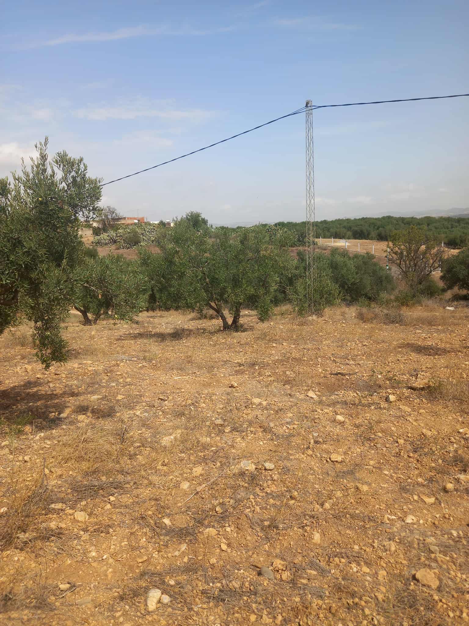 Zaghouan Zaghouan Vente Autre Terrain agricole