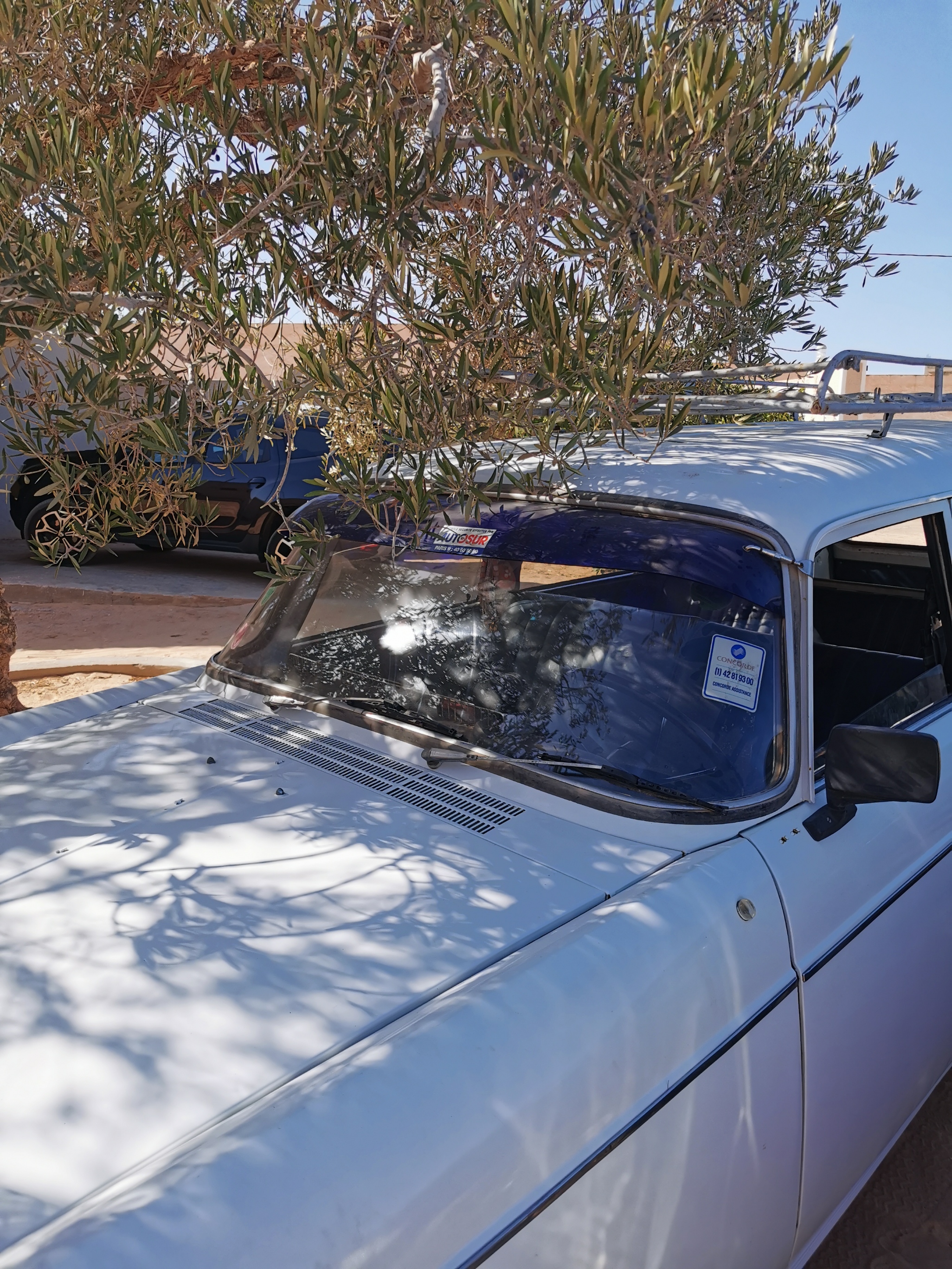 Djerba - Houmet Essouk Djerba  Peugeot 404 404 break excellente etat
