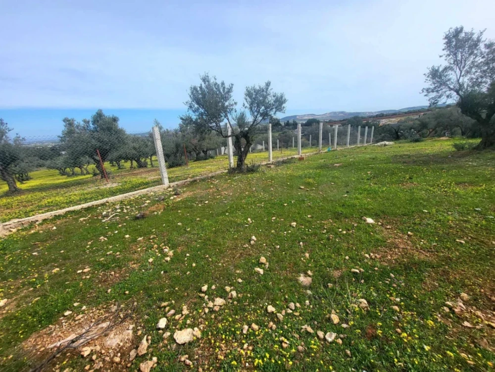 Sidi Thabet Jabbes Terrain Terrain nu 'un beau terrain 320 m2