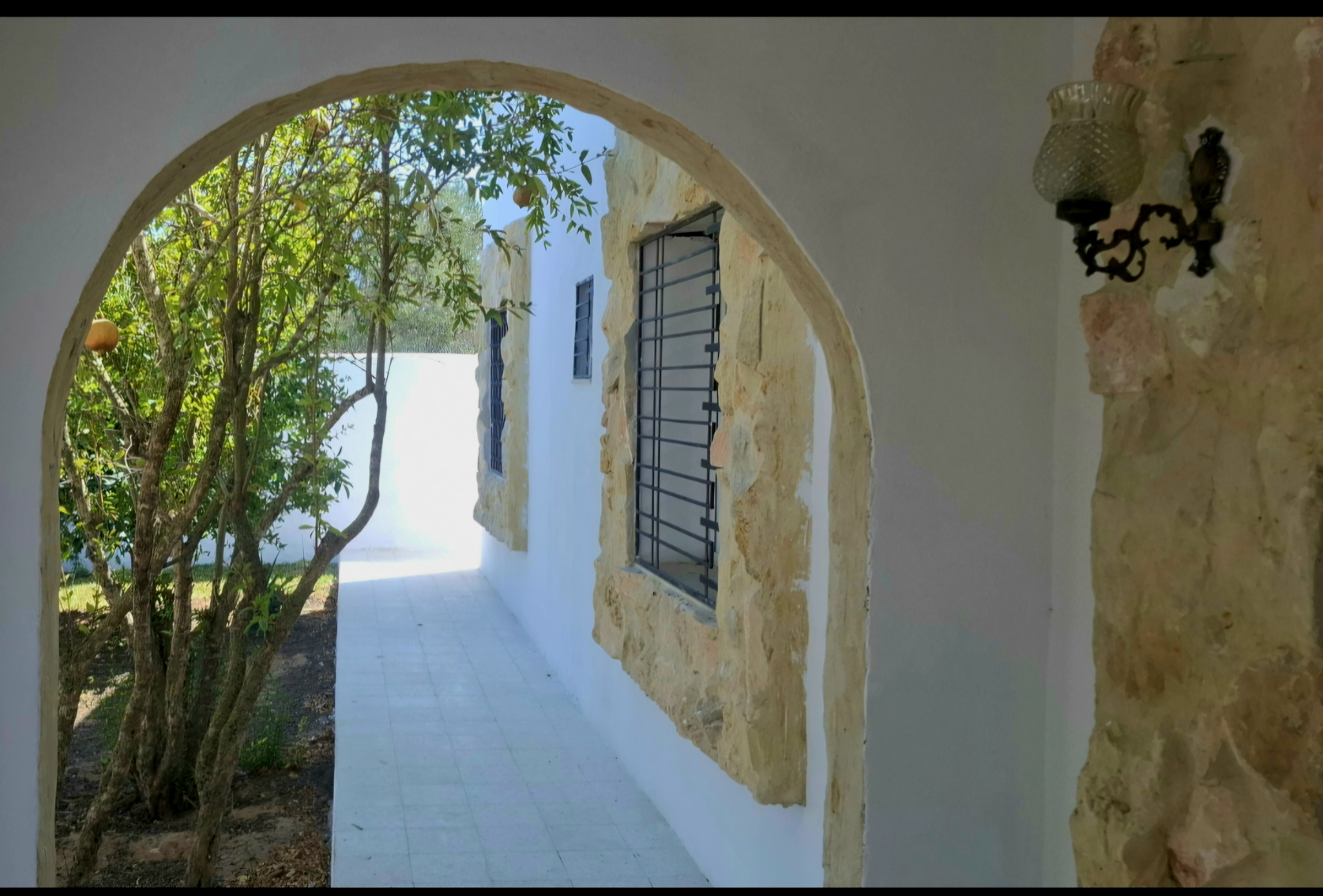 Hammamet Bir Bouregba Vente Maisons Magnifique villa rustique a hammamet
