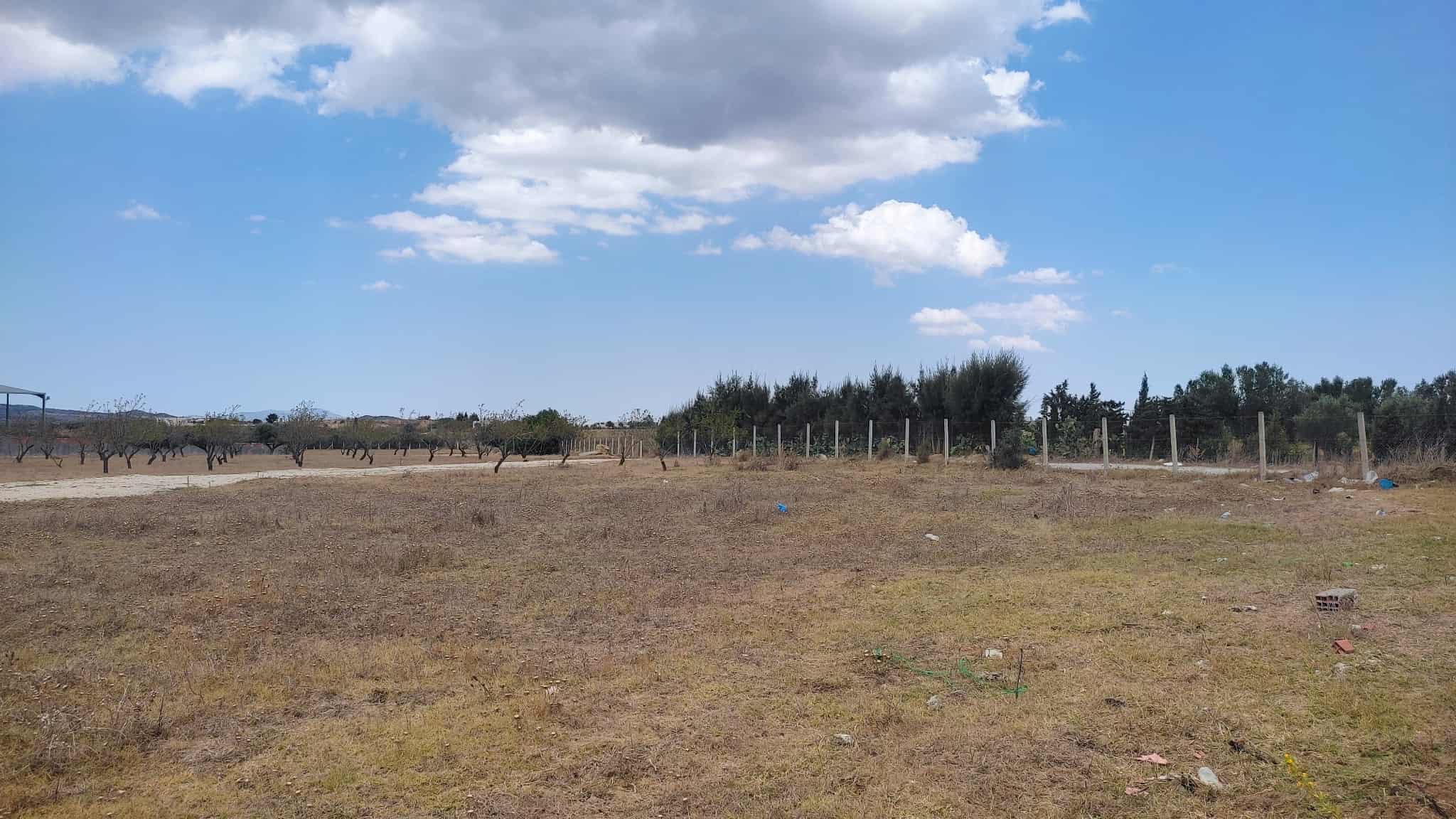 Beni Khalled Bir Drassen Terrain Terrain agricole Terrains a bir drassen  nabeul