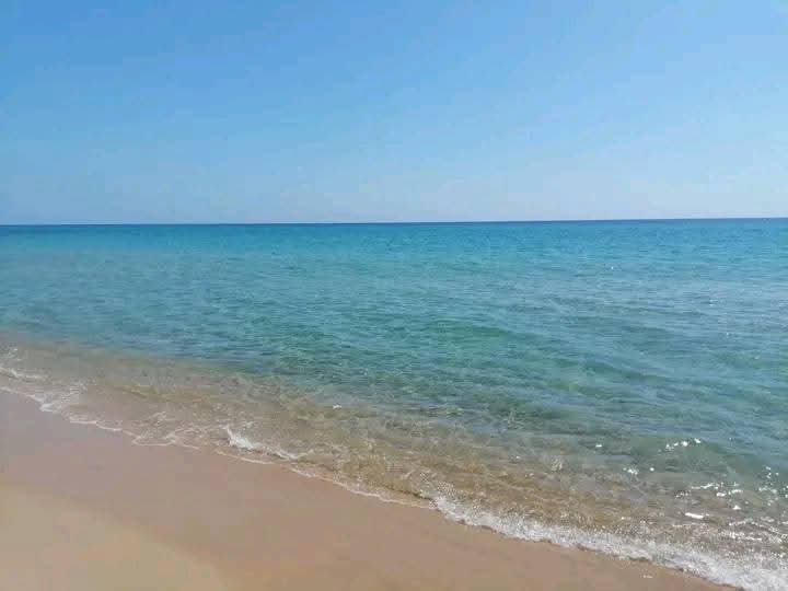 Hammamet Cite Afh Location Appart. 2 pices Appartement nabeul