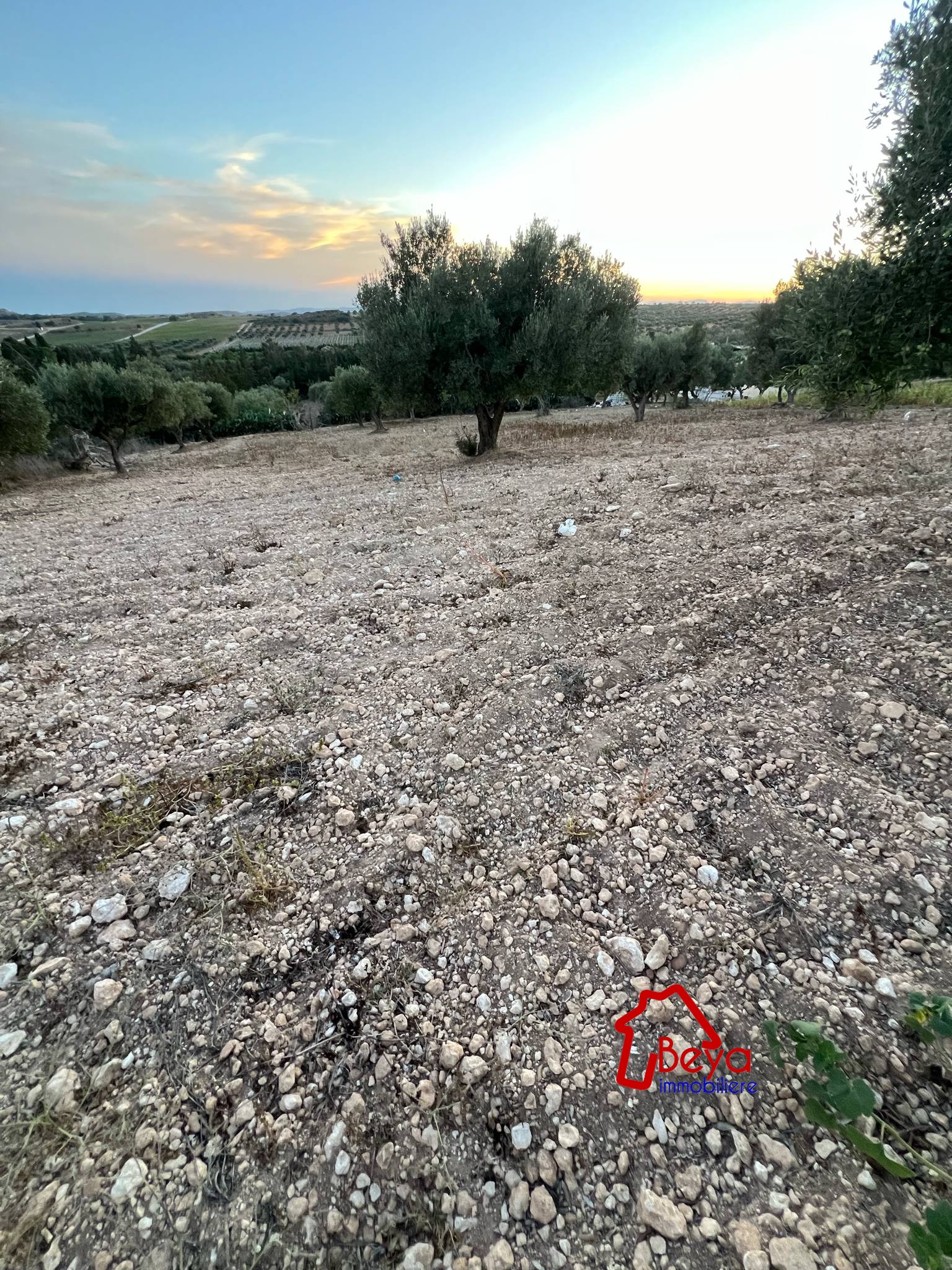 Beni Khiar Somaa Terrain Terrain agricole Terrain sunset vtm071
