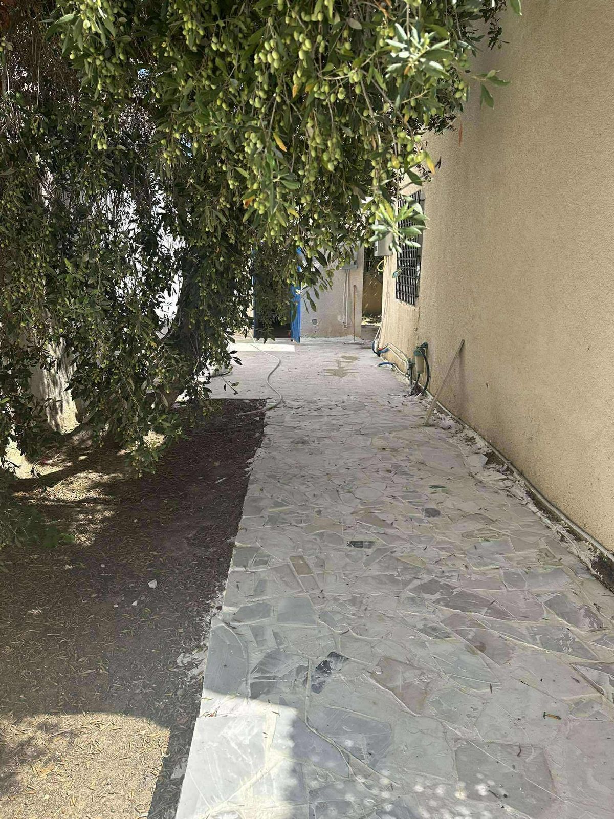 Ariana Ville El Menzah 8 Location Maisons Studio s0 meubl a el manzah 8 wb4308