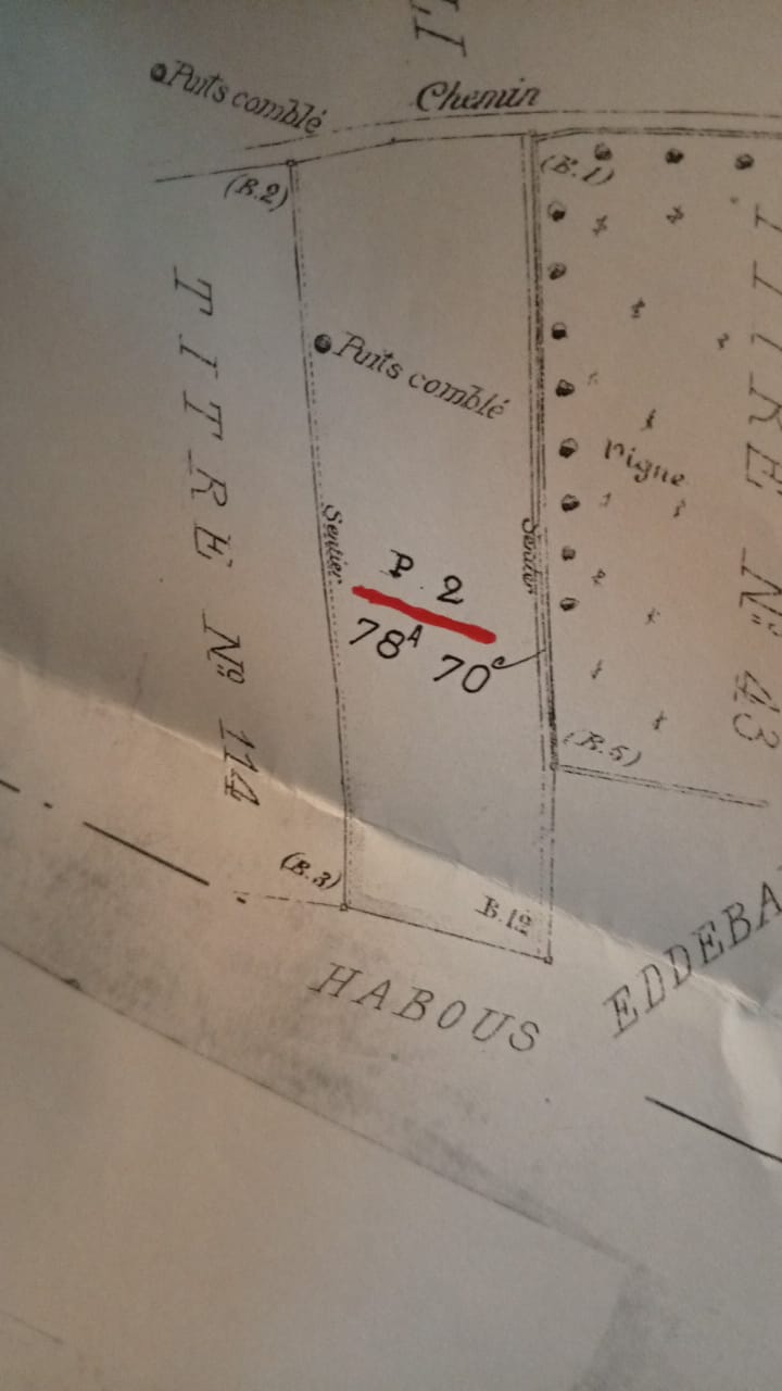 Ezzahra Cite Borj Louzir Terrain Terrain nu Bonne affaire pour groupe immobilier