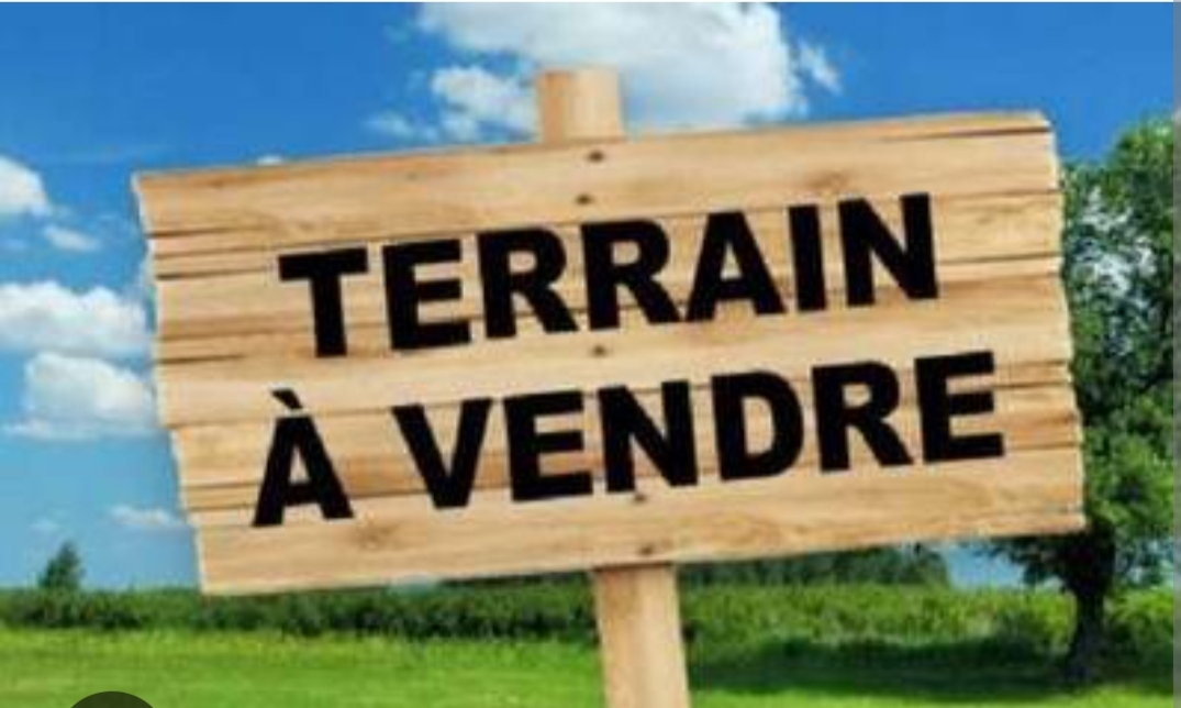 Ben Arous Ben Arous Terrain Terrain nu Terrain hay taamir ben arous 235m2