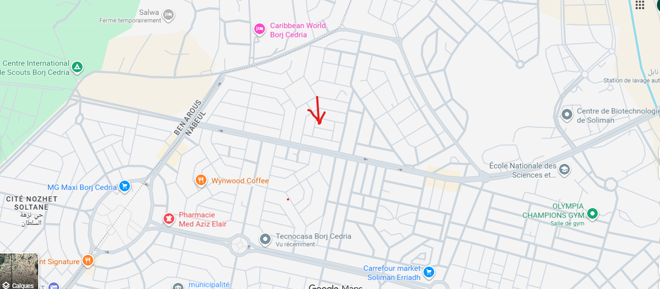Hammam Chatt Borj Cedria Vente Maisons Double opportunit