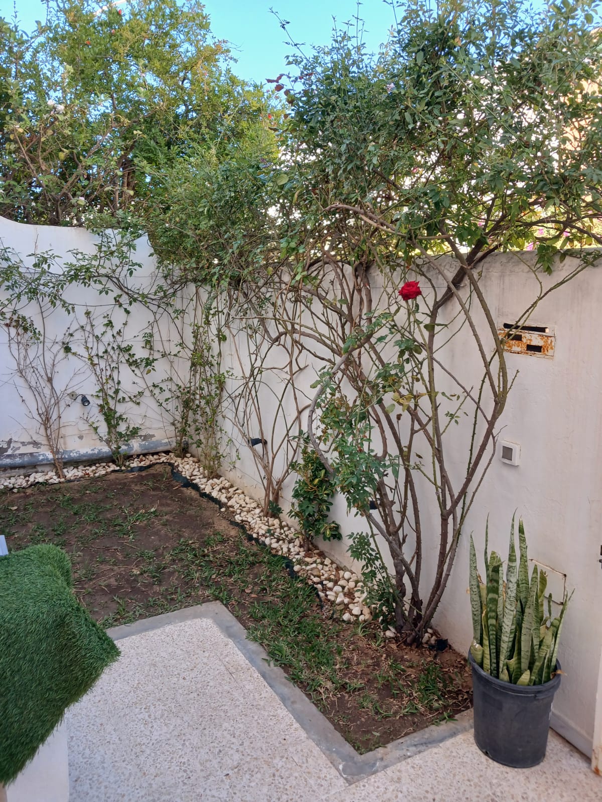 Raoued Ariana Essoughra Vente Duplex Duplex unique ariana essoughra