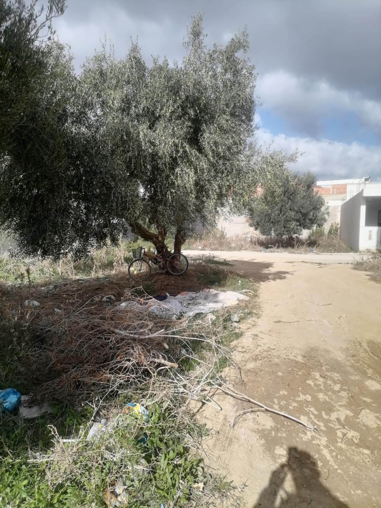 Kelibia Kelibia Terrain Terrain nu Terrain au centre ville