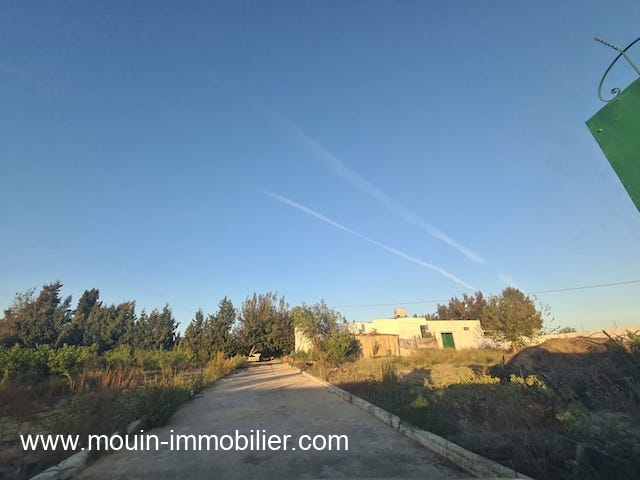 Hammamet Bir Bouregba Terrain Terrain agricole Ferme asil t1206 beni waiel 2 birbouregba