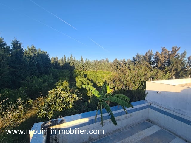 Hammamet Bir Bouregba Terrain Terrain agricole Ferme asil t1206 beni waiel 2 birbouregba