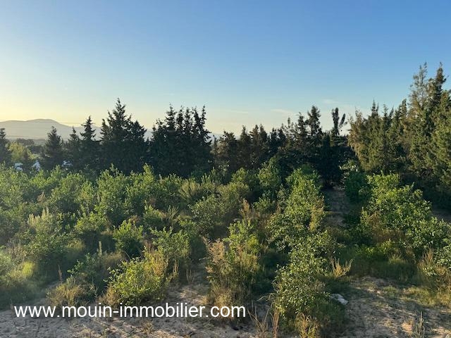 Hammamet Bir Bouregba Terrain Terrain agricole Ferme asil t1206 beni waiel 2 birbouregba