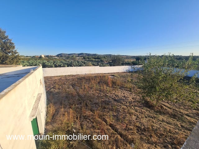 Hammamet Bir Bouregba Terrain Terrain agricole Ferme asil t1206 beni waiel 2 birbouregba