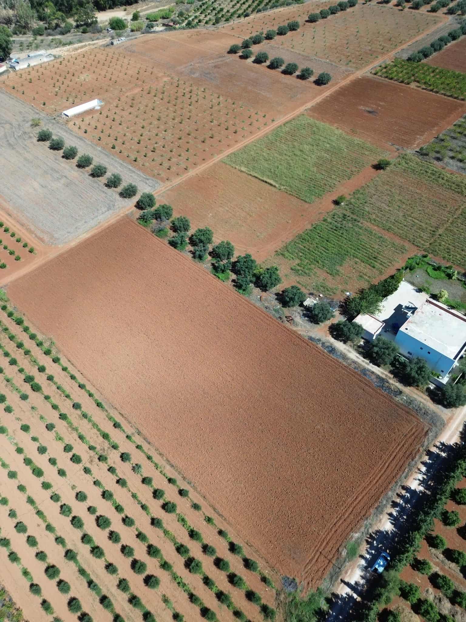 Sidi Thabet Sidi Thabet Terrain Terrain nu Terrain nu  sidi thabet
