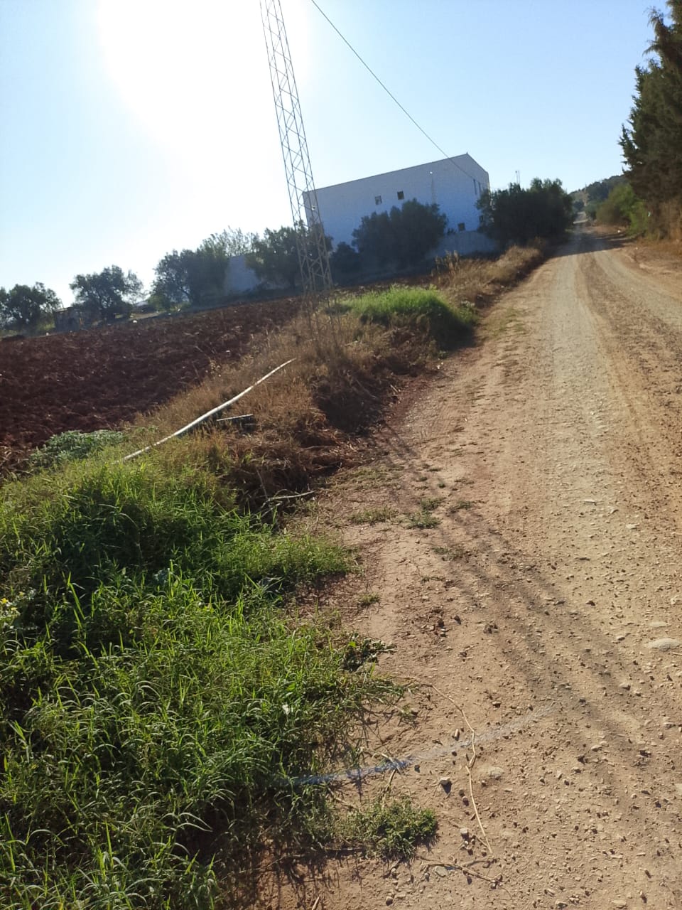 Sidi Thabet Sidi Thabet Terrain Terrain nu Terrain nu  sidi thabet