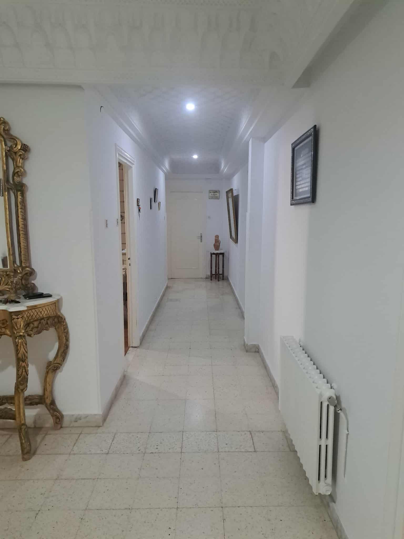 Ariana Ville El Menzah 7 Location Autre Villa meuble a el menzah