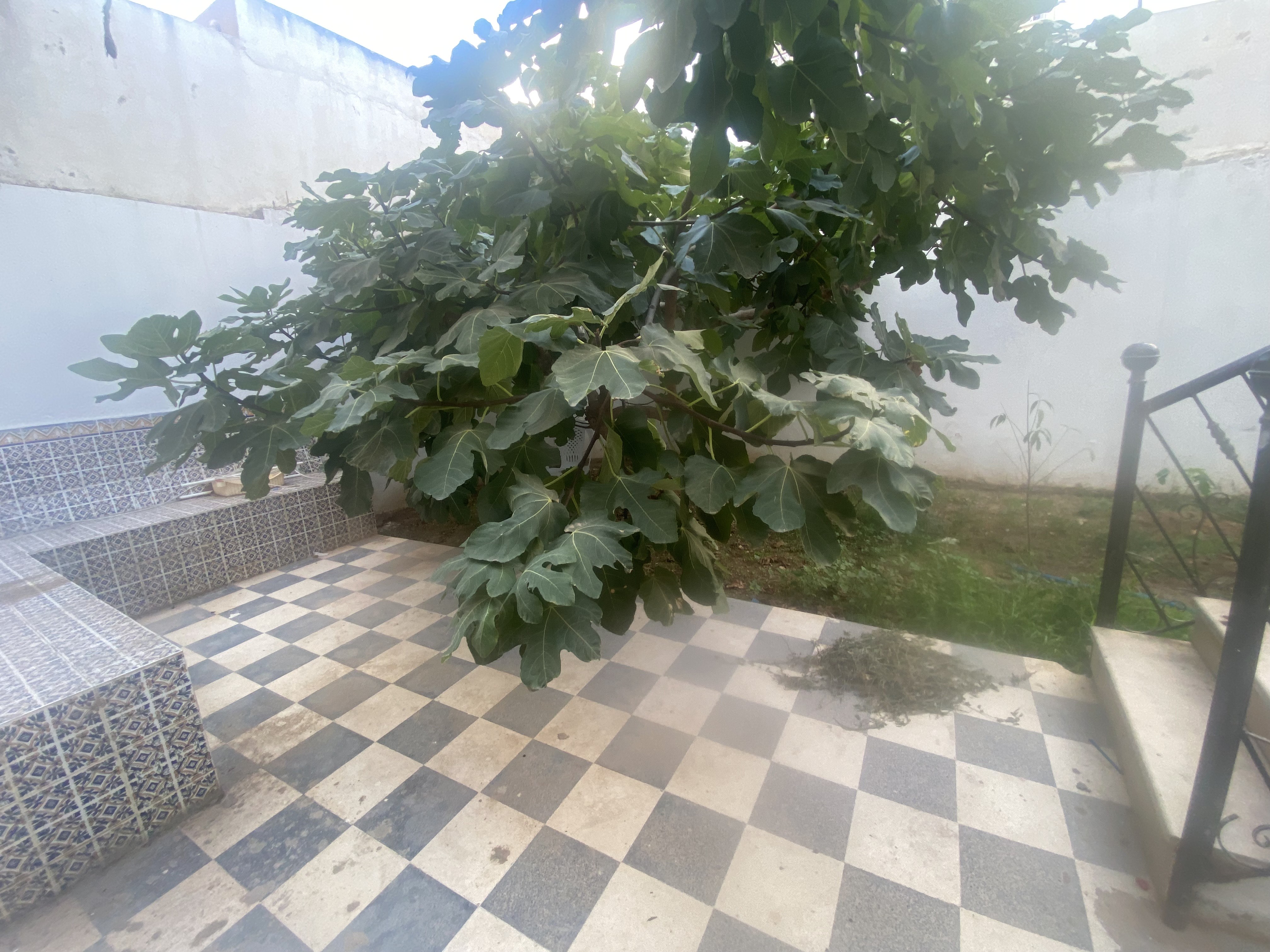 Mannouba Denden Location Appart. 3 pices Rez de jardin meubl pour tudiantes