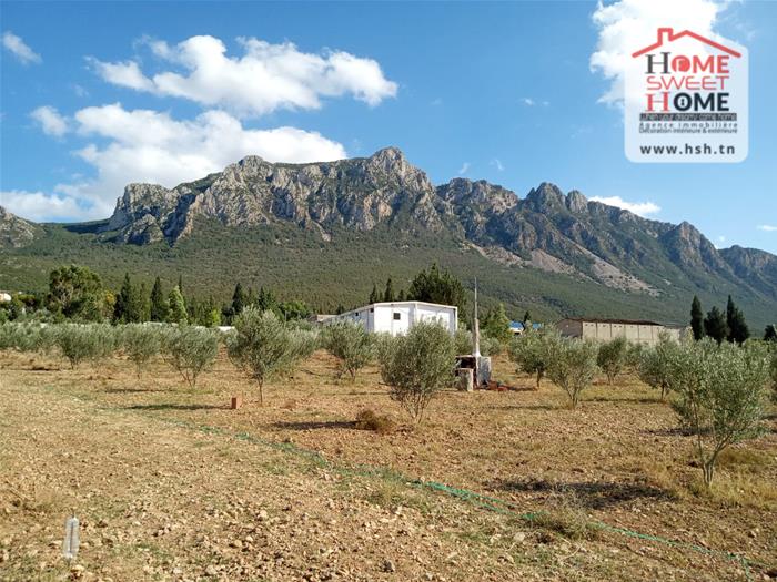 Ben Arous Ben Arous Terrain Terrain nu Terrain villa zitouna   mornag