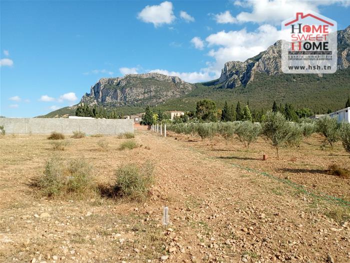 Ben Arous Ben Arous Terrain Terrain nu Terrain villa zitouna   mornag