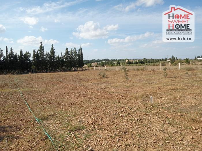 Ben Arous Ben Arous Terrain Terrain nu Terrain villa zitouna   mornag