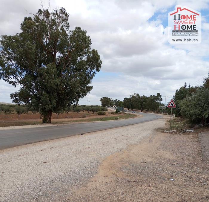 Mejez El Bab Mejez El Bab Vente Autre Terrain agricole amandine  mjez beb