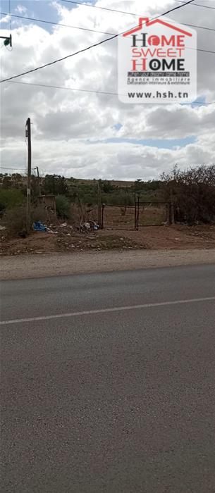 Mejez El Bab Mejez El Bab Vente Autre Terrain agricole amandine  mjez beb