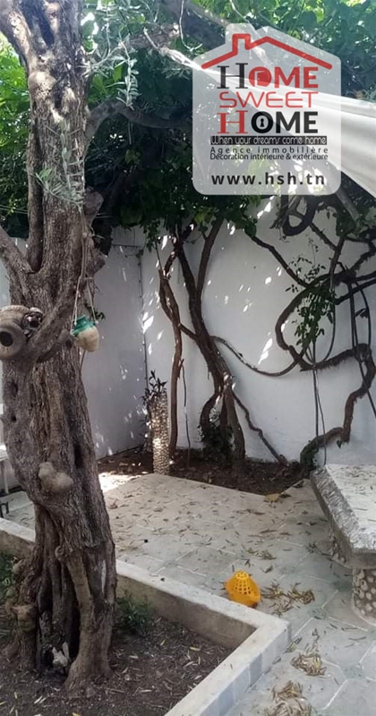 La Marsa Marsa Ennassim Location Duplex Duplex jasmin meubl  la marsa sidi abd laziz