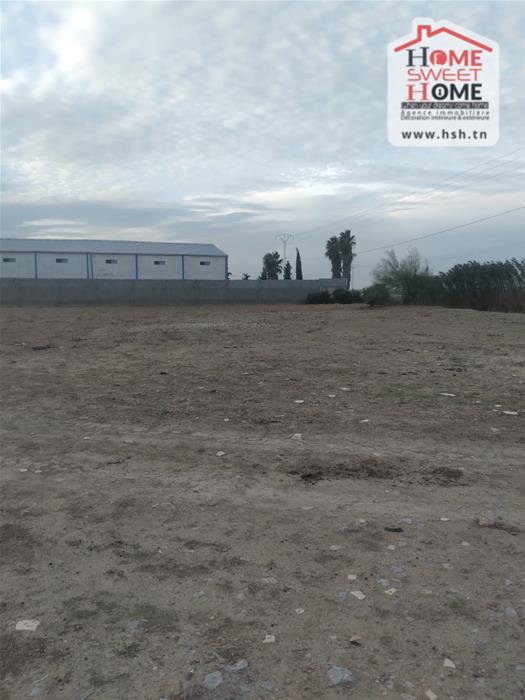 Mornaguia El Fejja Terrain Terrain agricole Terrain agricole horizon  el fajja manouba