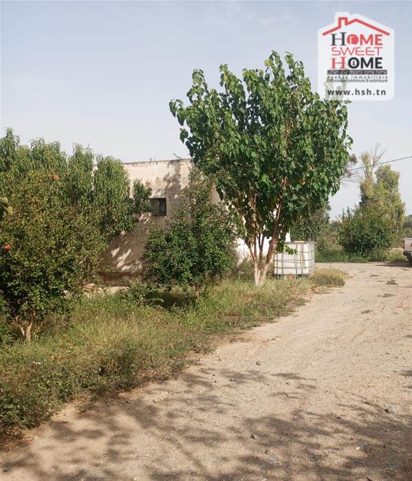 Mejez El Bab Mejez El Bab Terrain Terrain agricole Terrain agricole terrasol  mjez beb