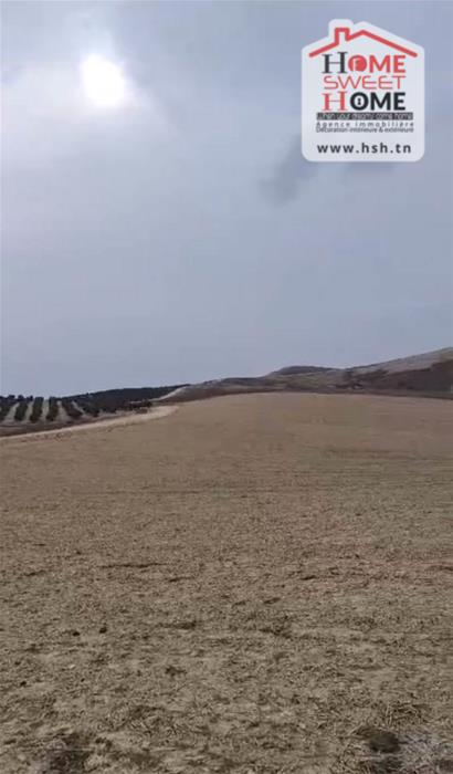 Beja Nord Beja Terrain Terrain agricole Terrain agricole karma bja