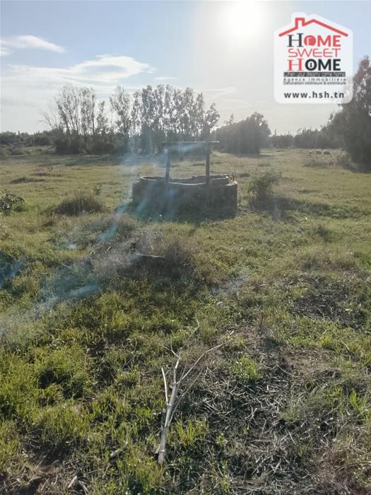Soliman Korbous Terrain Terrain agricole Terrain agricole rochdi  korbous