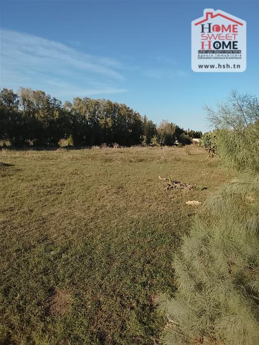 Soliman Korbous Terrain Terrain agricole Terrain agricole rochdi  korbous
